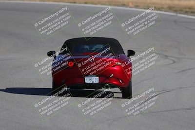 media/Nov-19-2023-Extreme Speed (Sun) [[bd0eec5490]]/Purple/Back Shots/